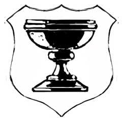 Trophée platine The Order 1886 PS4