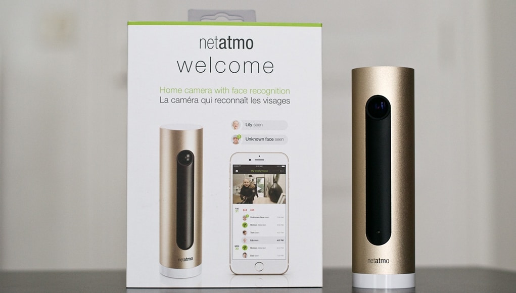 great netmo