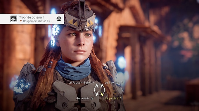 Trophee Platine Horizon Zero Dawn