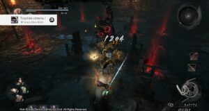 Nioh-Trophee-Platine