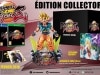 Precommande Dragon Ball Fighter Z Collector