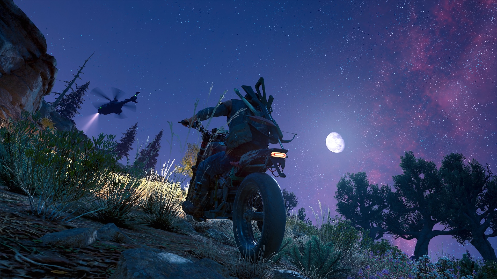 Days Gone Screenshot et avis