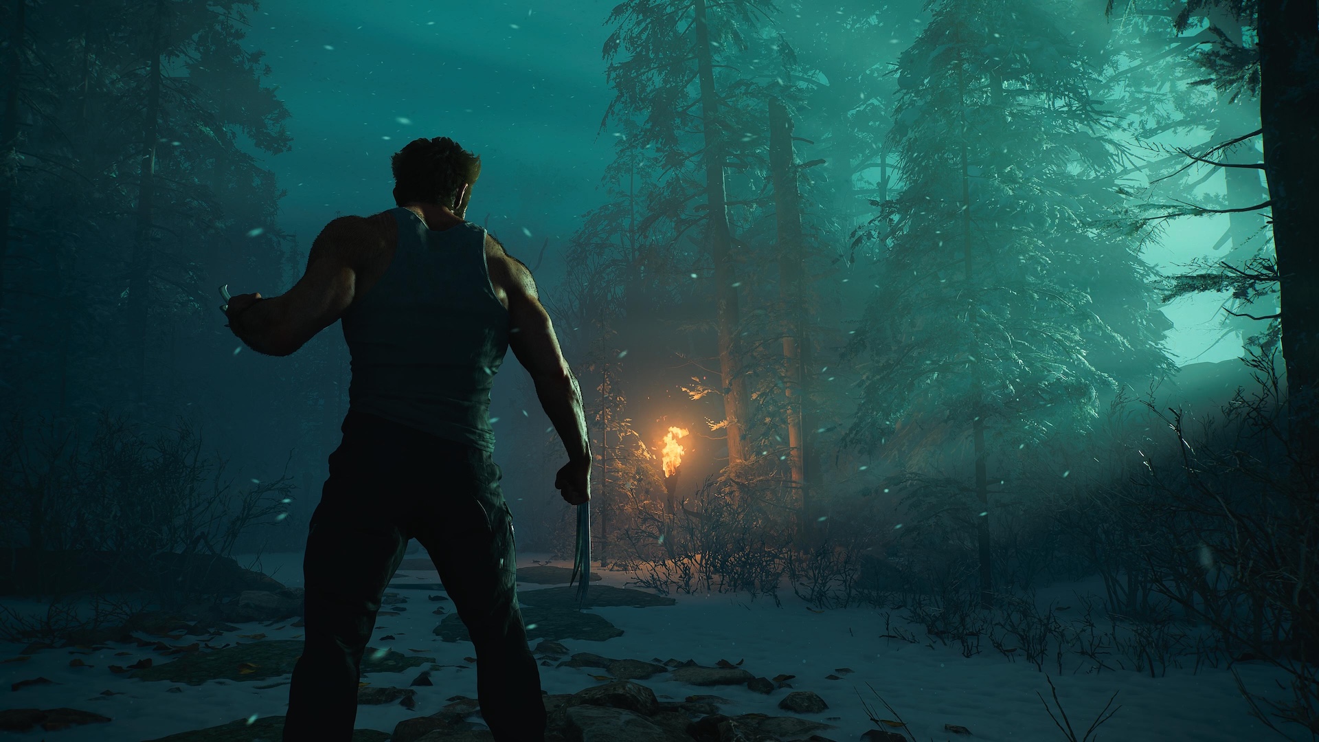 Test Avis Wolverine PS5